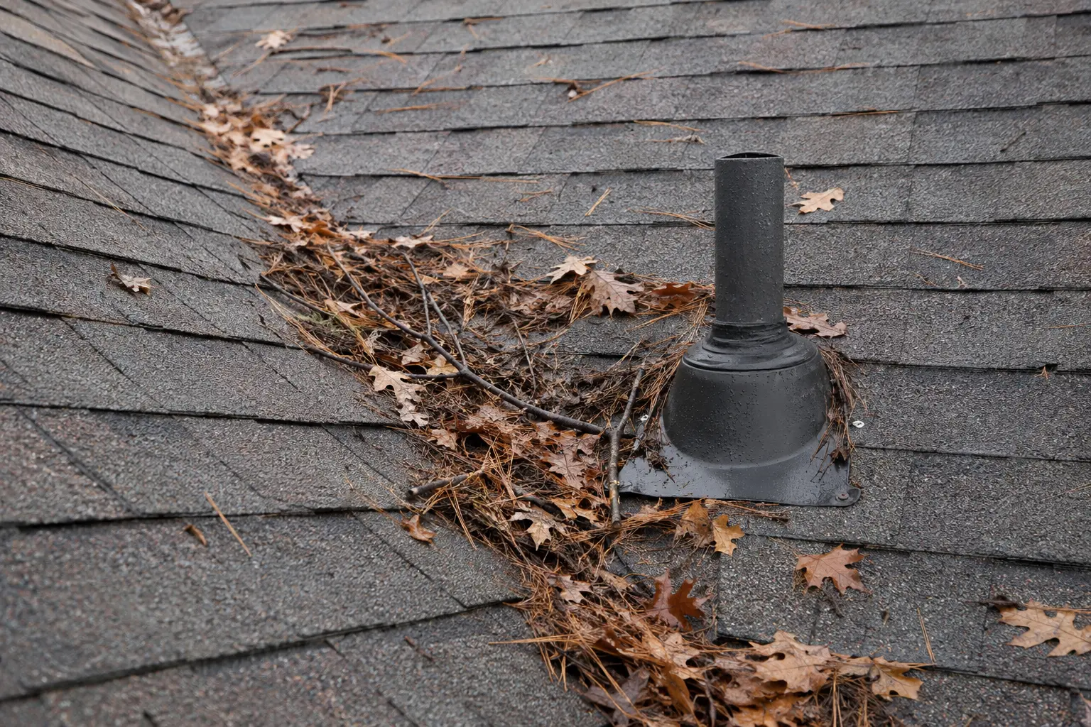 Leaves and sticks packed around a pipe boot on a shingle roof